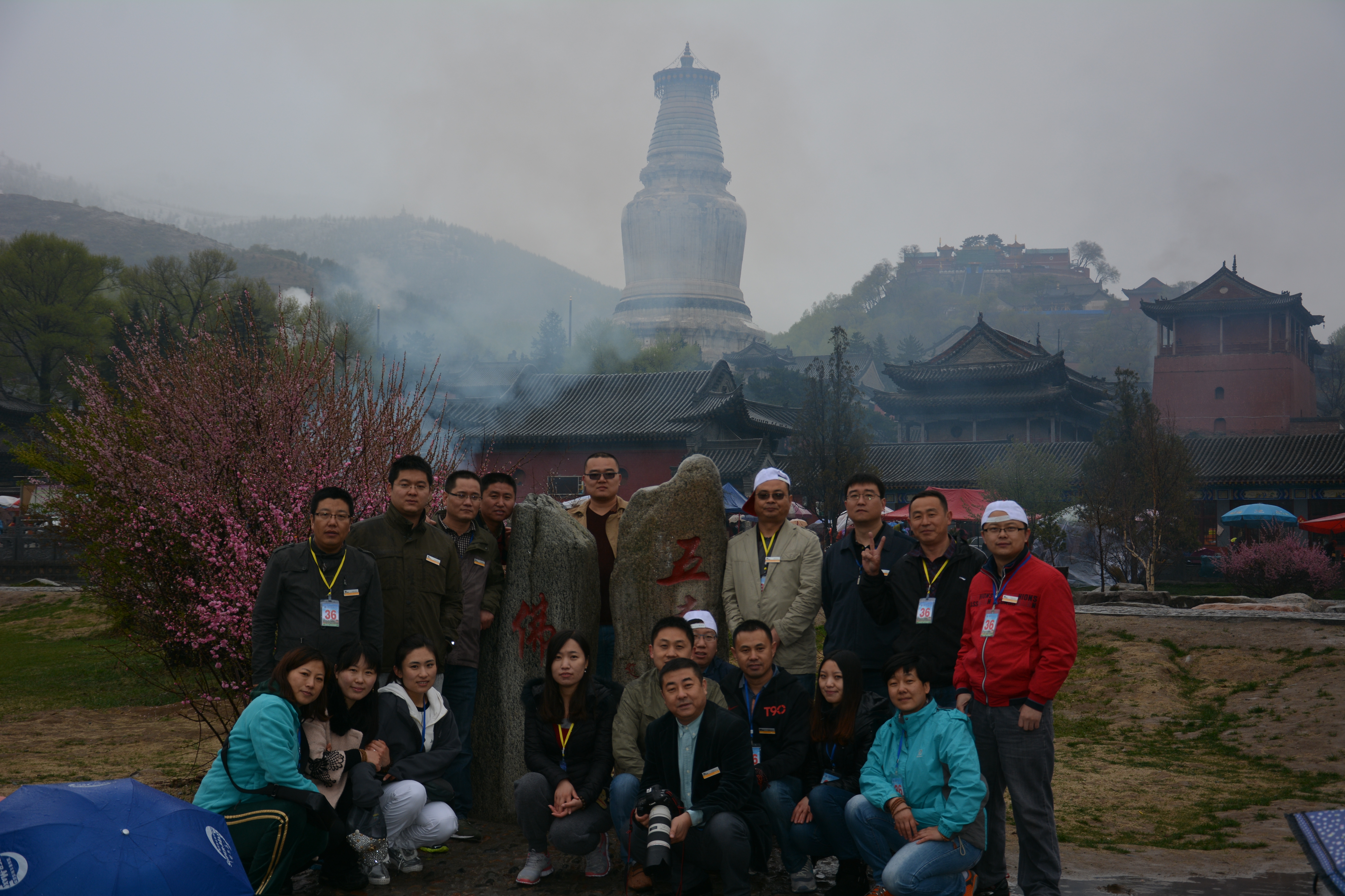 2013����̨ɽ